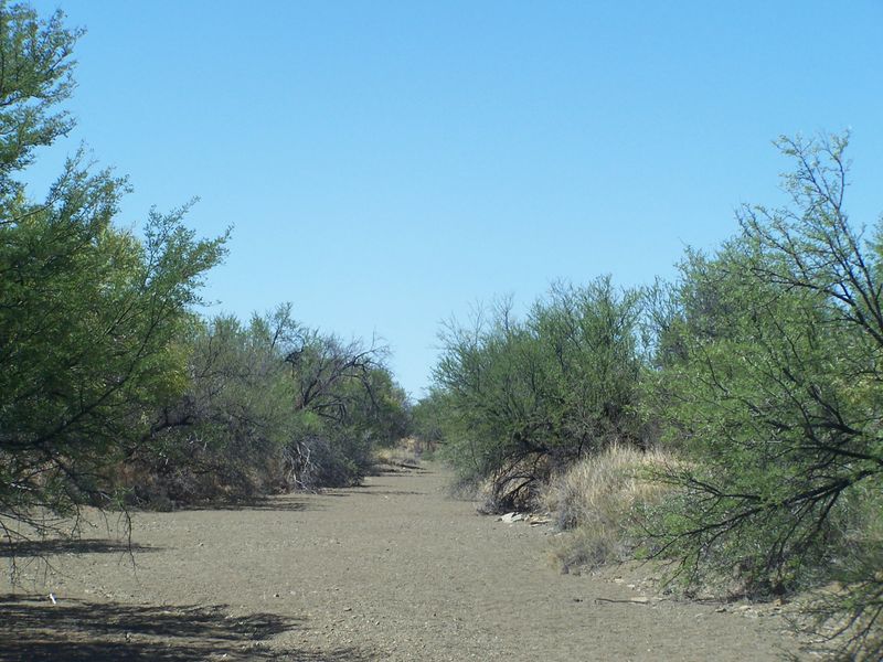 A view of the natural landscape on the farm property, featuring dry terrain and native vegetation.