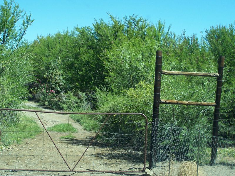 A rural farm entrance featuring a weathered metal gate and wire fencing leading into a dense, overgrown landscape.