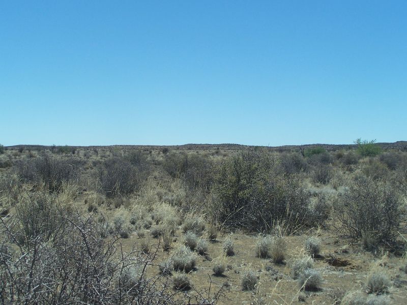 Expansive view of the natural arid landscape and open veld characteristic of the farm property.