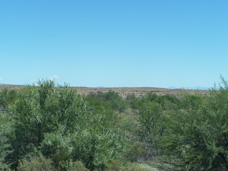 A wide-angle view of the expansive natural landscape and indigenous vegetation surrounding the farm property.