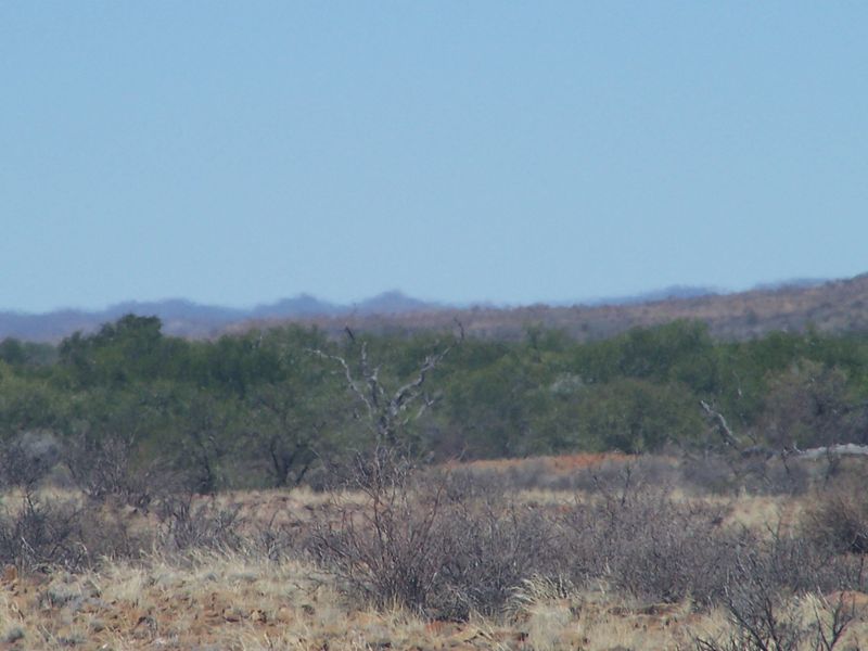 A scenic view of the expansive farm landscape featuring natural vegetation, shrubs, and distant hills under a clear sky.