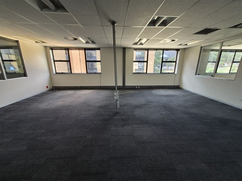 An empty, open-plan office space featuring suspended ceilings, recessed lighting, carpeted flooring, and large windows providing natural light.