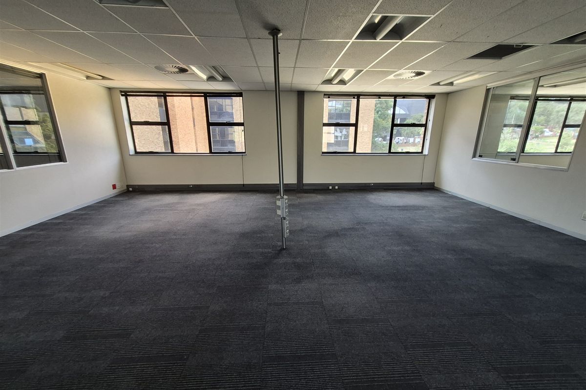 An empty, open-plan office space featuring suspended ceilings, recessed lighting, carpeted flooring, and large windows providing natural light.