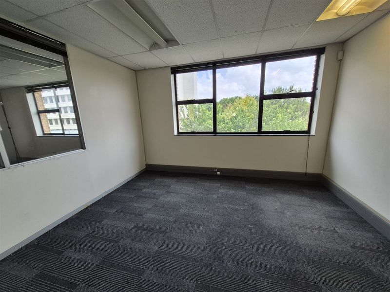 A vacant office space featuring carpet tiles, a suspended ceiling with integrated lighting, and a large window providing natural light.