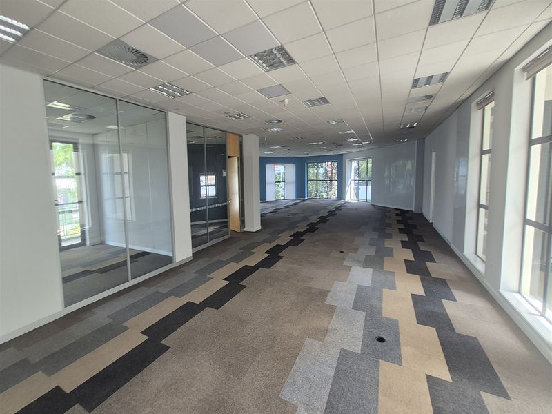 Spacious open-plan office area featuring modern glass partitioning, suspended ceilings with recessed lighting, and patterned carpet tiles throughout.