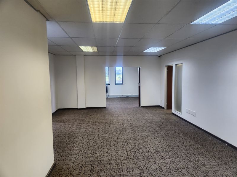 A spacious, empty office area featuring a suspended ceiling with recessed lighting and neutral carpeted flooring, offering a clean and functional workspace.