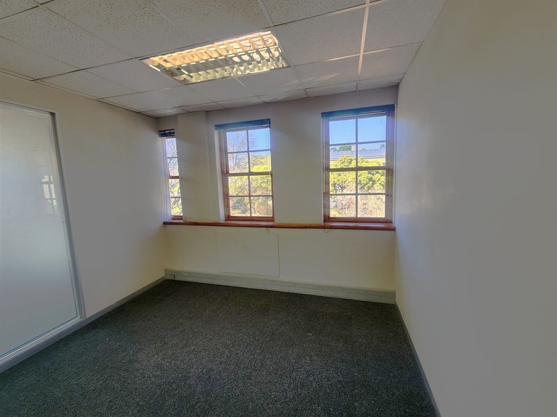 A vacant office space featuring a suspended ceiling, recessed lighting, carpeted flooring, and large multi-pane windows providing natural light.