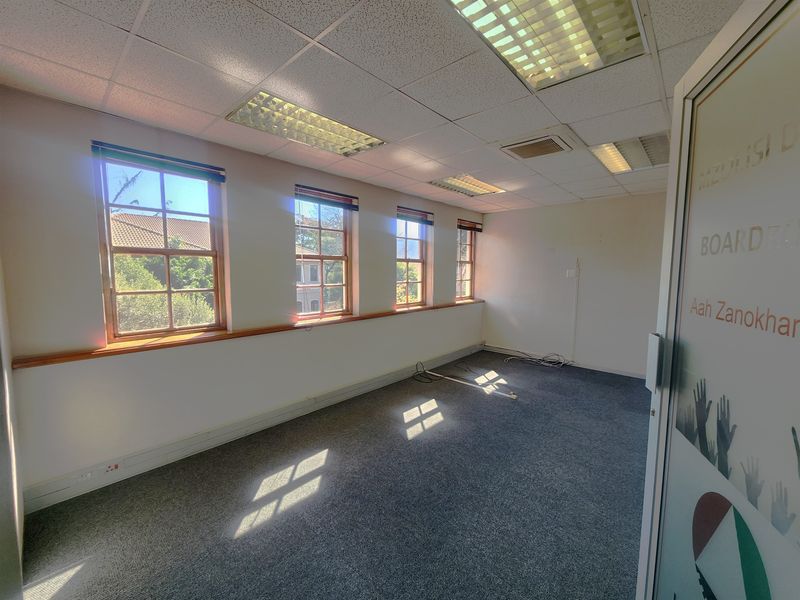 A vacant office space featuring a suspended ceiling, recessed lighting, carpeted flooring, and large windows providing natural light.