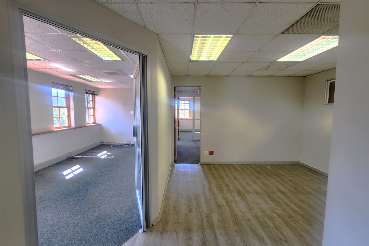 An empty office suite featuring a mix of laminate and carpet flooring, suspended ceilings with recessed lighting, and multiple windows providing natural light.