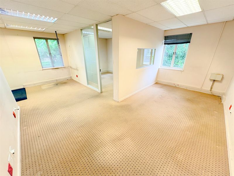 An empty office space featuring a suspended ceiling, recessed lighting, carpeted flooring, and a glass partition wall, offering a versatile layout for professional use.