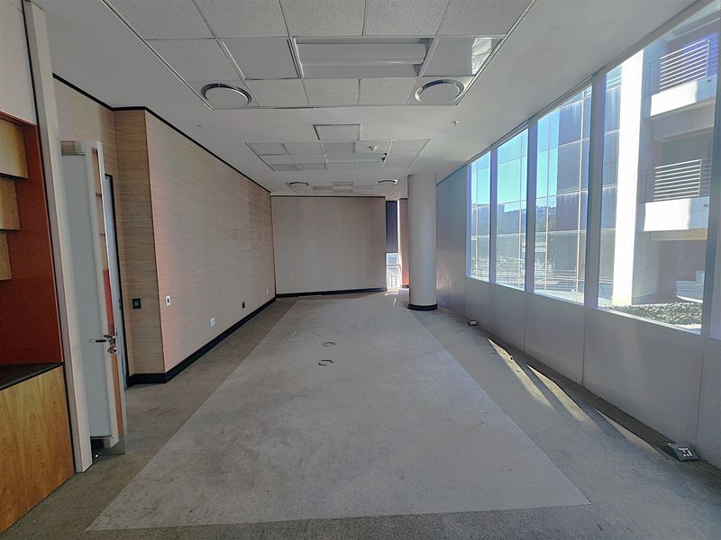 A spacious, empty office suite featuring floor-to-ceiling windows, wood veneer wall paneling, and a suspended ceiling, offering a bright and professional workspace.