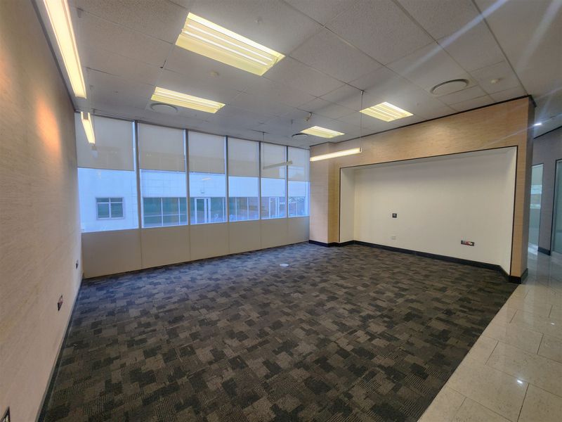 A bright, vacant office space featuring carpet tiles, suspended ceilings with recessed lighting, and large windows with roller blinds.