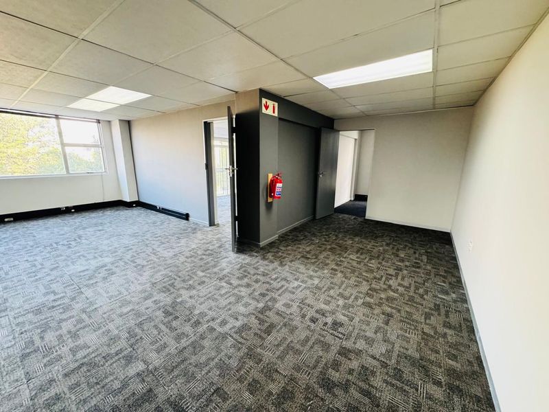 A vacant, open-plan office space featuring carpeted flooring, a suspended ceiling with recessed lighting, and large windows providing natural light.