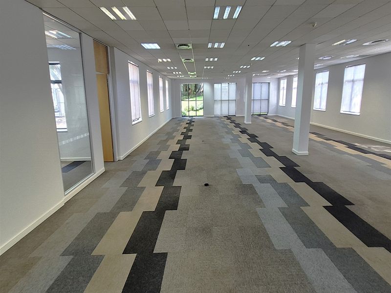 A spacious, open-plan office area featuring modern carpet tiles, recessed ceiling lighting, and large windows providing ample natural light.