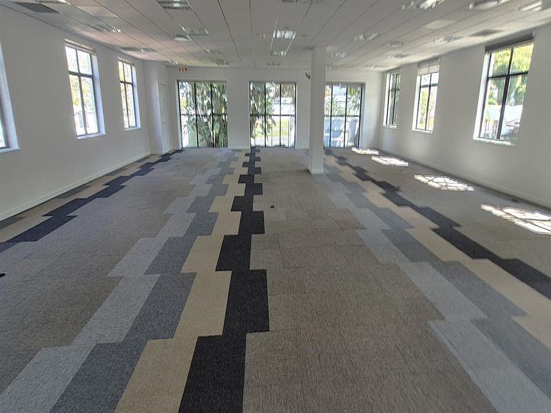A spacious, open-plan office area featuring large windows, patterned carpet tiles, and a suspended ceiling with recessed lighting.