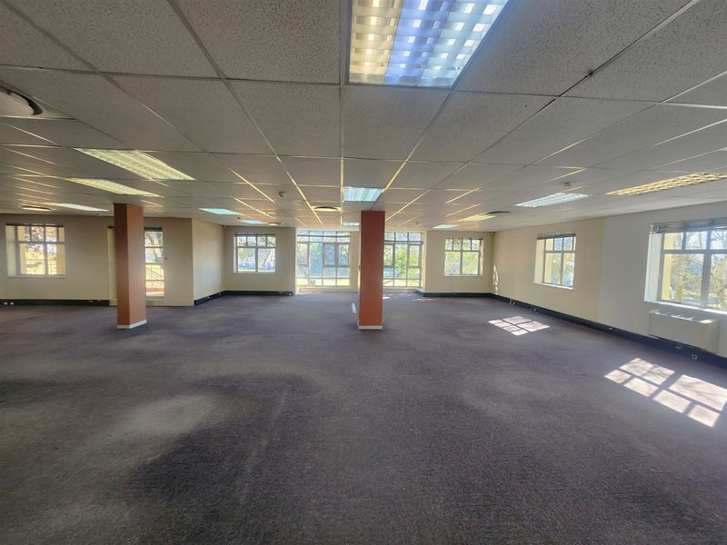 A spacious, open-plan office area featuring large windows, suspended ceilings with recessed lighting, and carpeted flooring throughout.