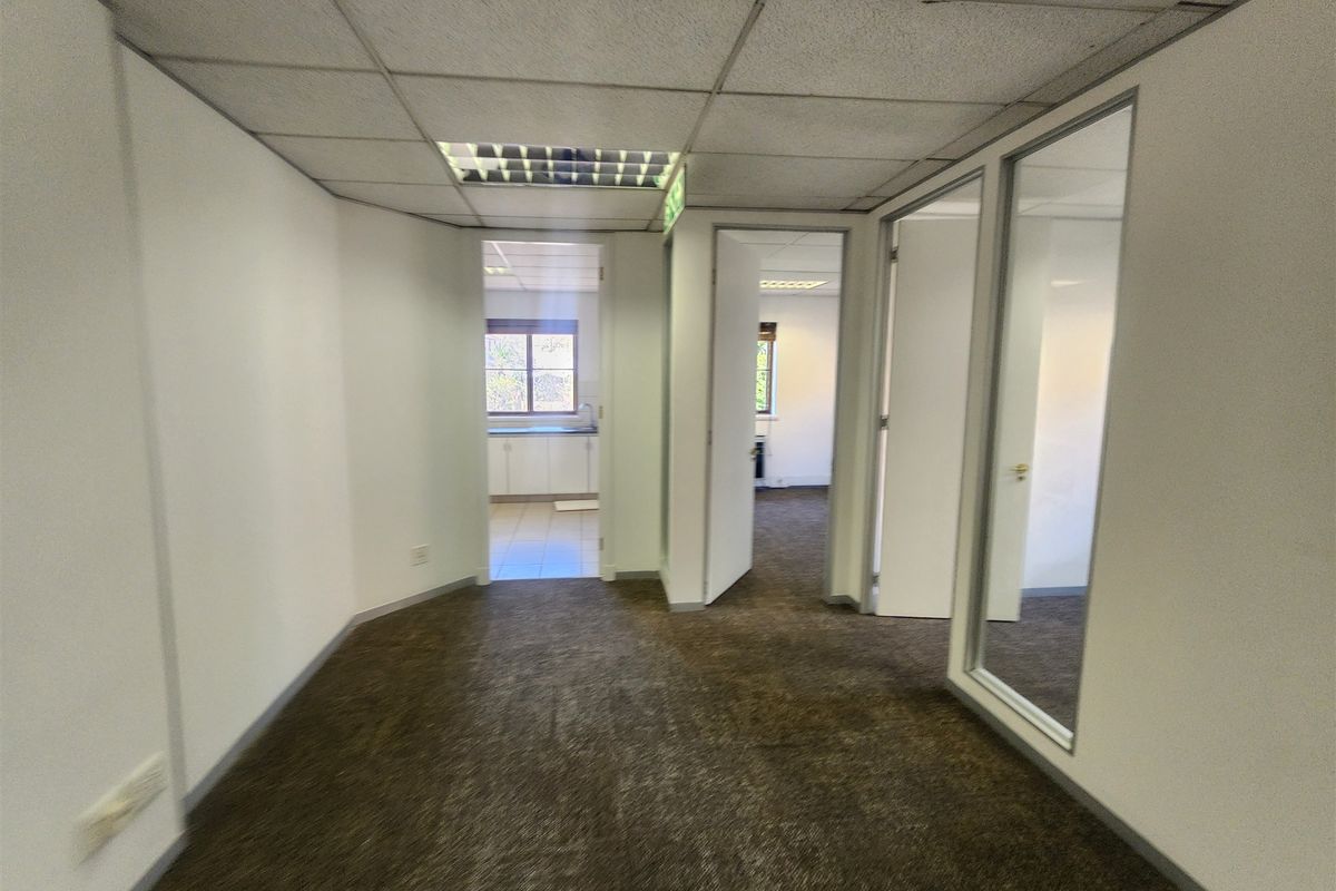 A functional office hallway featuring carpeted flooring, suspended ceiling tiles, and glass-paneled doors leading to adjacent office spaces.