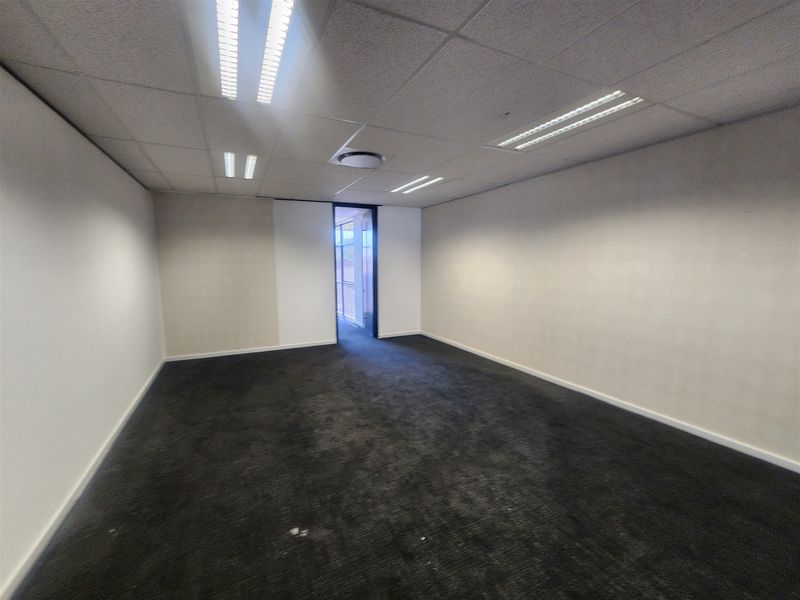 An empty office space featuring a suspended ceiling with recessed lighting and dark carpet flooring.