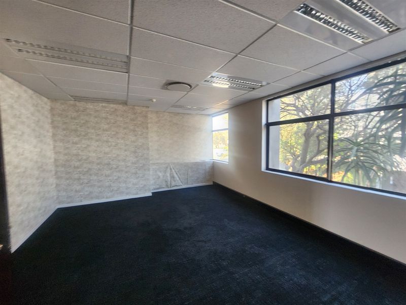 An empty office space featuring a suspended ceiling with recessed lighting, large windows providing natural light, and dark carpet flooring.