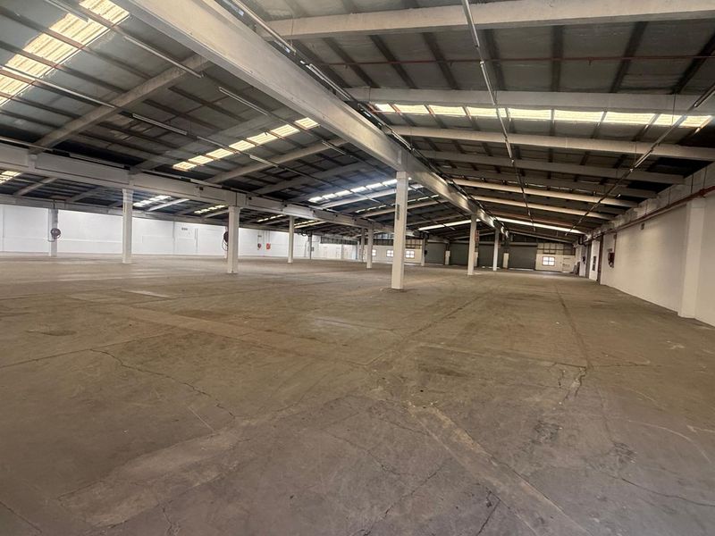Expansive industrial warehouse space featuring high ceilings, exposed steel structural beams, translucent roof panels for natural light, and durable concrete flooring.