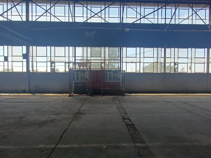 Spacious industrial warehouse interior featuring high ceilings, expansive steel-framed windows, and durable concrete flooring, suitable for manufacturing or storage operations.