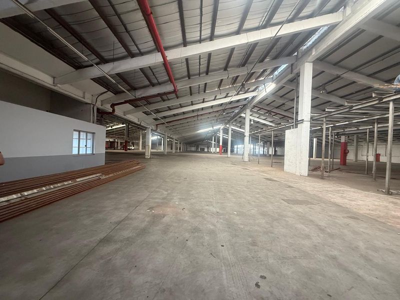 Expansive industrial warehouse space featuring high ceilings, exposed steel trusses, fire suppression piping, and concrete flooring, suitable for manufacturing or logistics operations.