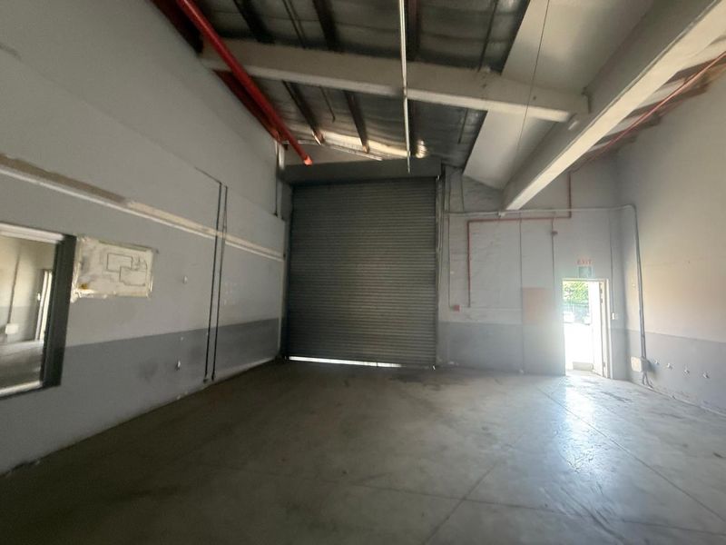Spacious industrial warehouse unit featuring high ceilings, a large roller shutter door, and concrete flooring, suitable for various commercial or storage applications.