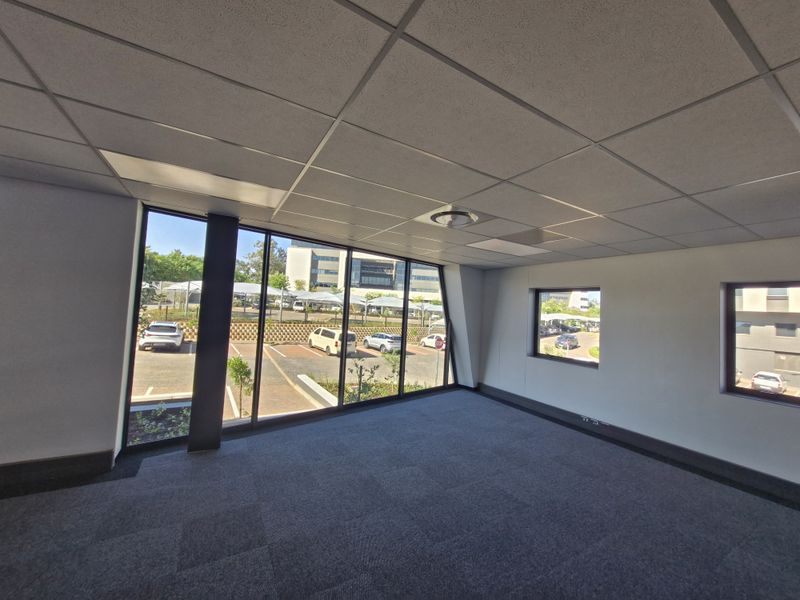 A bright, vacant commercial office space featuring large floor-to-ceiling windows, suspended ceilings, and neutral carpet flooring, offering a professional work environment.