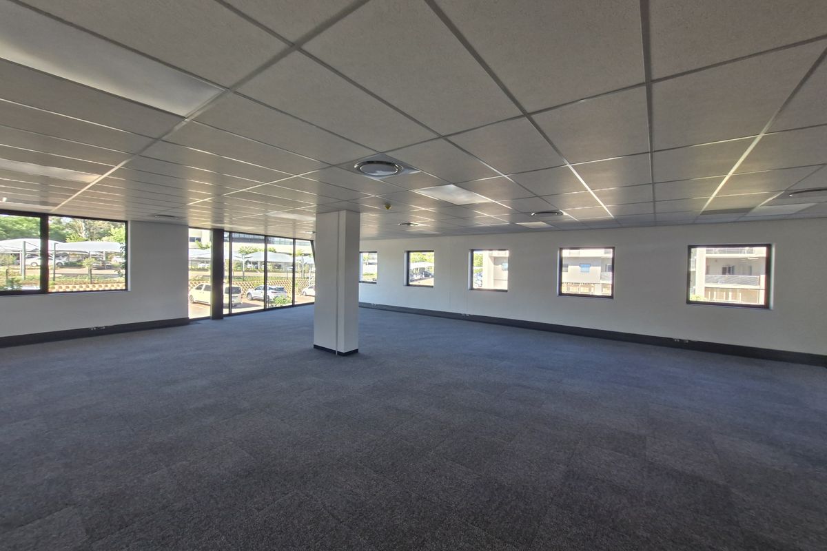 A spacious, open-plan commercial office area featuring a suspended ceiling, recessed lighting, carpeted flooring, and large windows providing ample natural light.