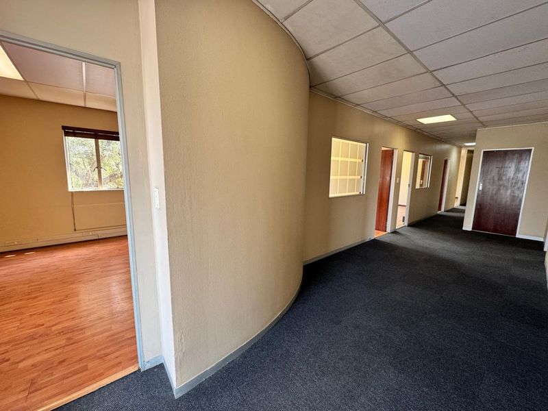 Spacious office hallway featuring a curved wall, suspended ceiling with recessed lighting, and access to multiple individual office rooms with laminate flooring.