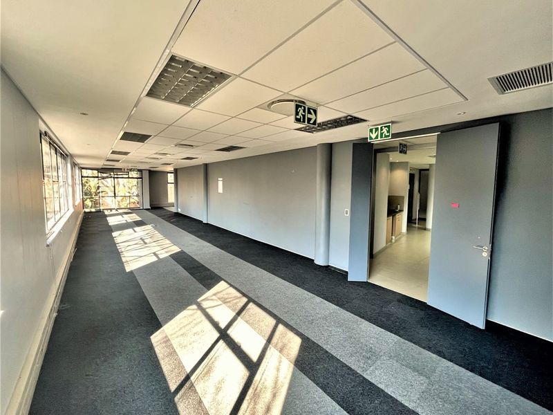 A spacious, empty office area featuring a suspended ceiling, recessed lighting, and neutral grey walls with carpeted flooring.