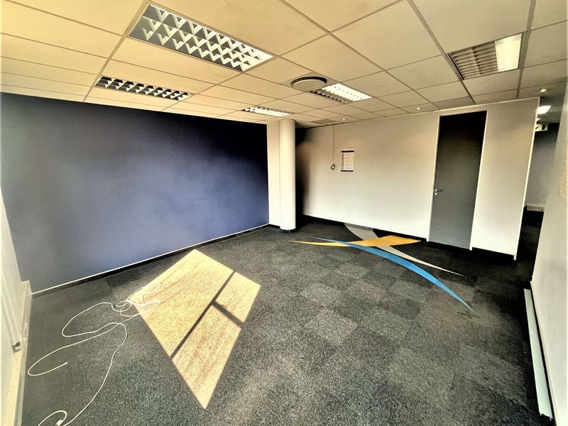 An empty office space featuring a suspended ceiling with recessed lighting, dark carpet tiles, and a blue accent wall.