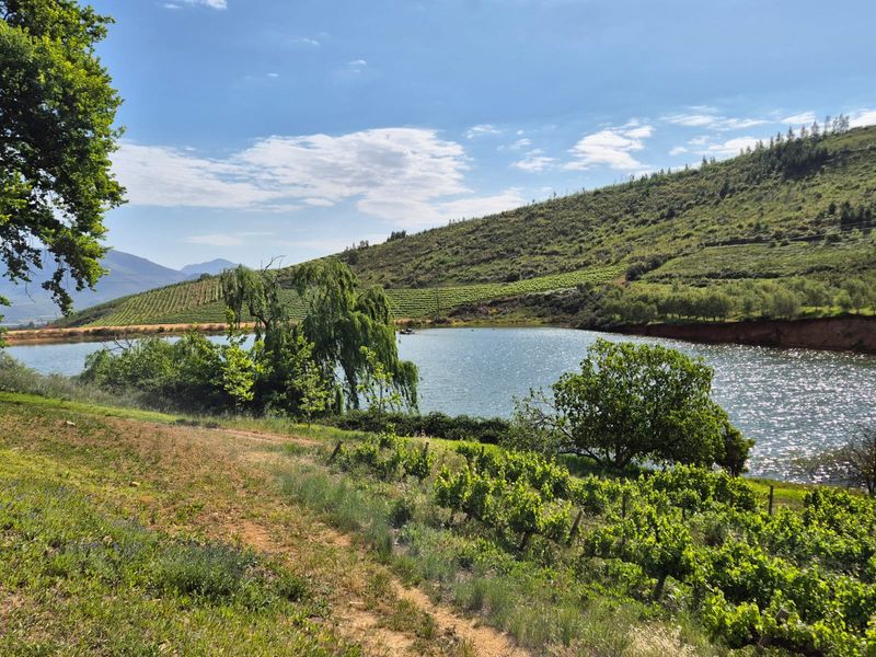 GUEST & FRUIT FARM WITH MOUNTAIN VIEWS - Photo 7