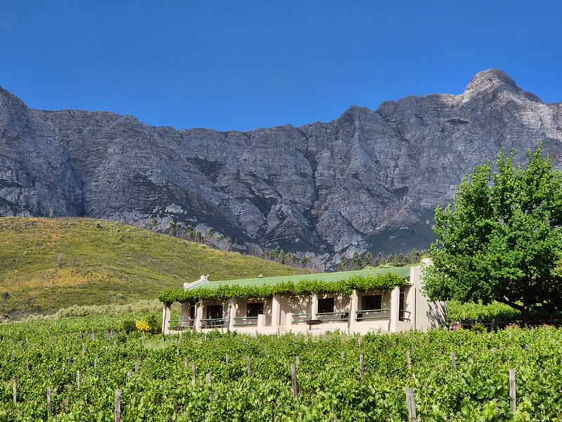 GUEST & FRUIT FARM WITH MOUNTAIN VIEWS - Photo 6