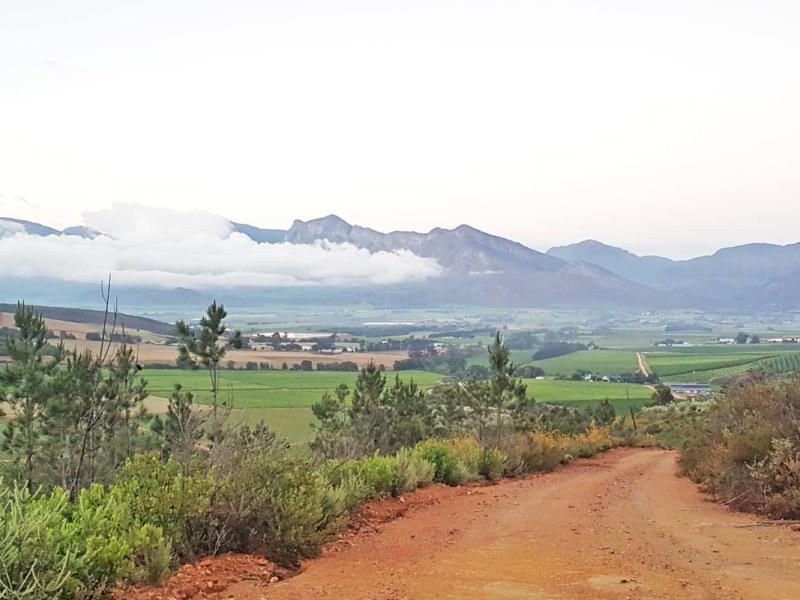 GUEST & FRUIT FARM WITH MOUNTAIN VIEWS - Photo 5