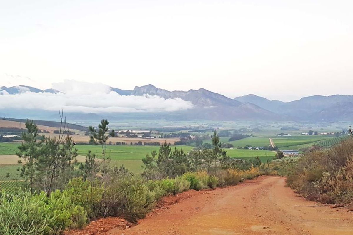 GUEST & FRUIT FARM WITH MOUNTAIN VIEWS - Photo 5