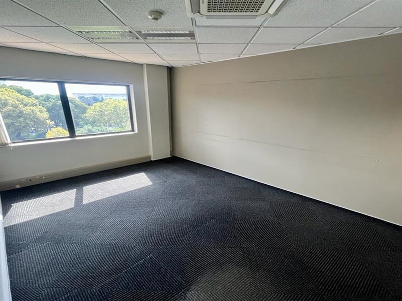An empty office space featuring carpeted flooring, a suspended ceiling with integrated lighting, and a large window providing natural light and exterior views.