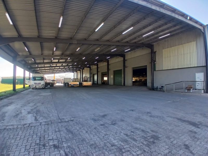 Large industrial warehouse loading bay featuring a high-clearance steel structure, expansive concrete hardstand, and multiple roller shutter access points.