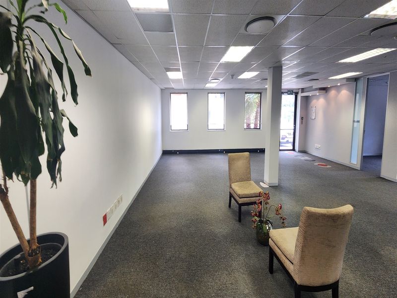 A spacious, open-plan office area featuring a suspended ceiling, recessed lighting, and neutral carpeting, offering a versatile workspace layout.