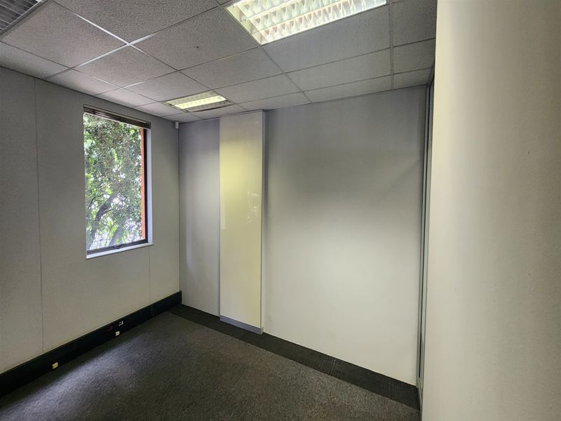 A vacant office space featuring a suspended ceiling with recessed lighting, carpeted flooring, and a window providing natural light.