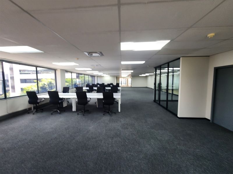 Spacious open-plan office area featuring large windows, carpeted flooring, suspended ceilings with recessed lighting, and a glass-partitioned meeting room.