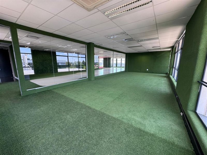 Spacious, empty gym area featuring artificial turf flooring, mirrored walls, and large windows providing ample natural light.