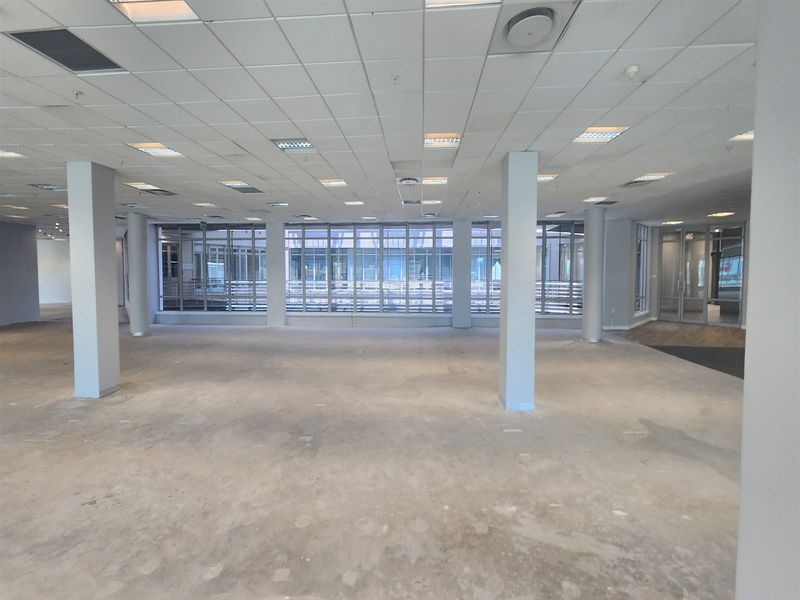 Spacious open-plan office area featuring a suspended ceiling, recessed lighting, structural columns, and large windows providing ample natural light.