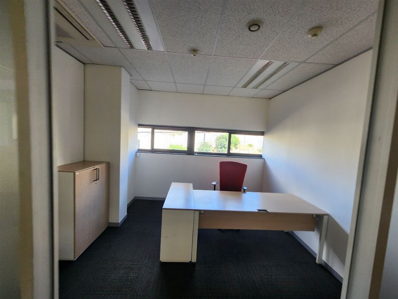 A functional office space featuring a suspended ceiling with recessed lighting, carpeted flooring, and horizontal windows providing natural light.