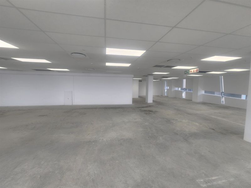 A large, open-plan office space featuring a suspended ceiling, recessed lighting, and unfinished concrete flooring, ready for custom fit-out.
