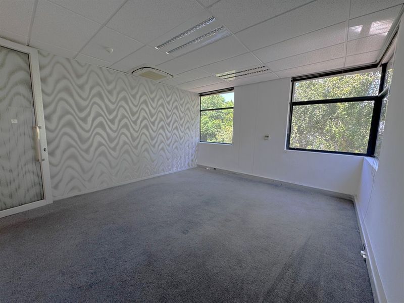 A bright, empty office space featuring carpeted flooring, a suspended ceiling with recessed lighting, and large windows providing natural light.