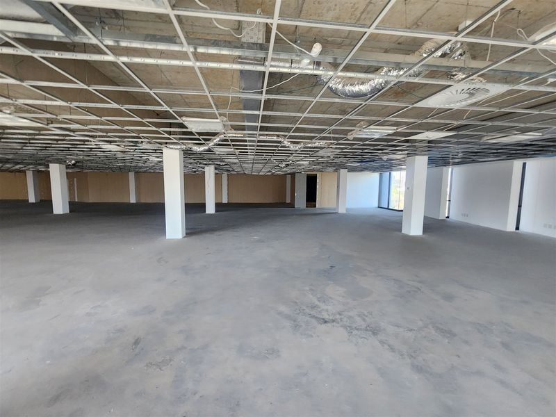 A large, open-plan office space in shell condition, featuring exposed ceiling grid, structural columns, and concrete flooring, ready for custom fit-out.
