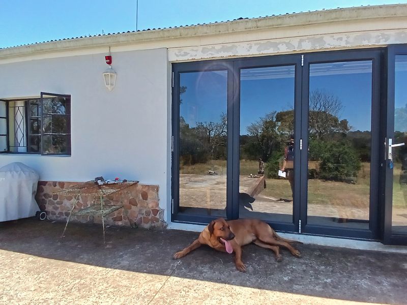 30ha Off-Grid Lifestyle Farm Near Bathurst - Photo 3