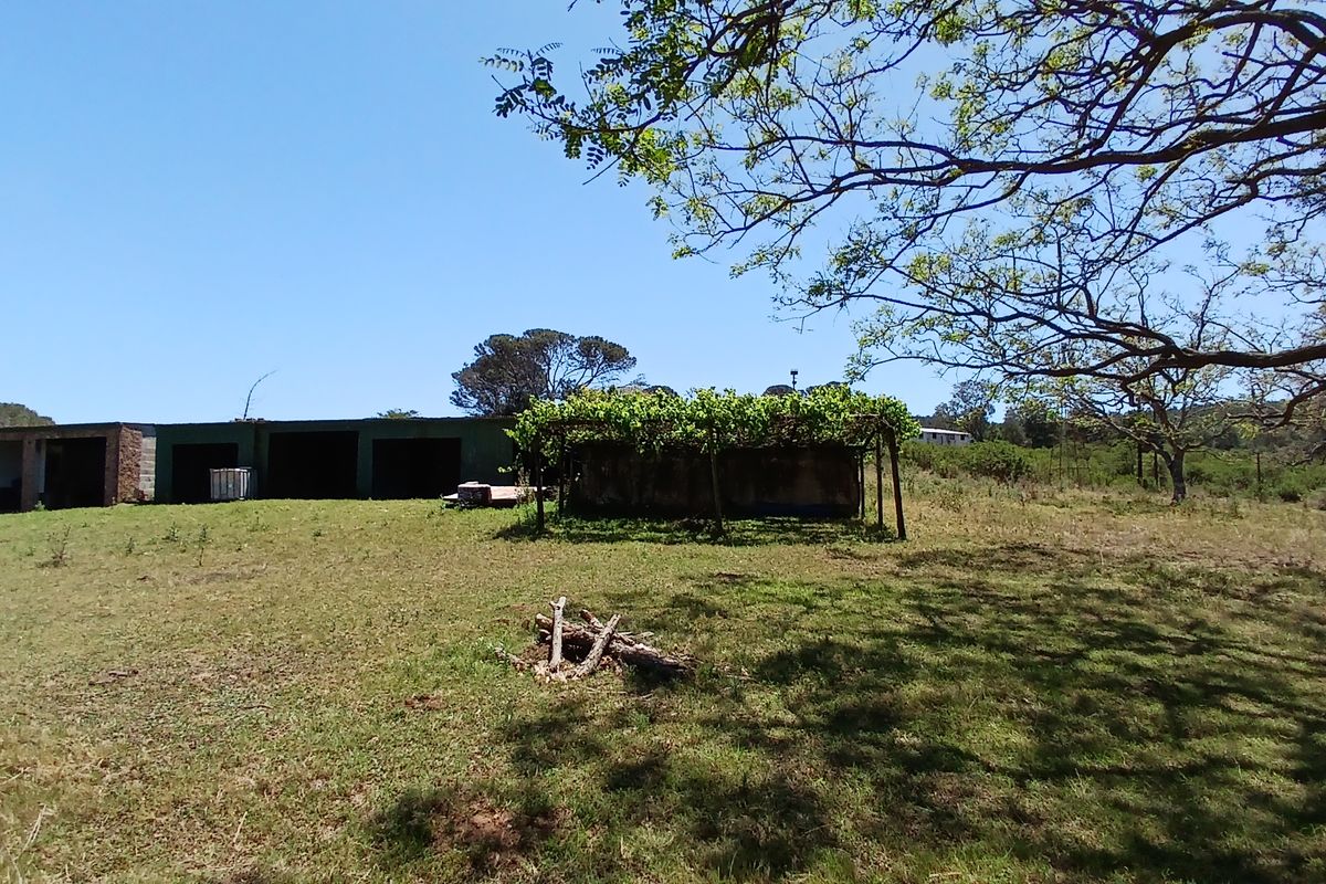 30ha Off-Grid Lifestyle Farm Near Bathurst - Photo 4