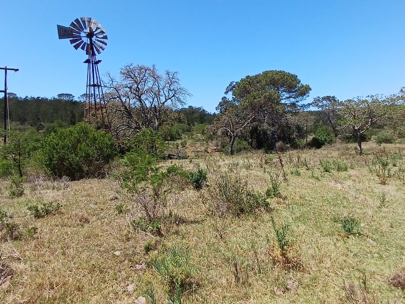 A wide view of the farm landscape featuring a traditional metal windmill and utility infrastructure set within open, natural grazing land.
